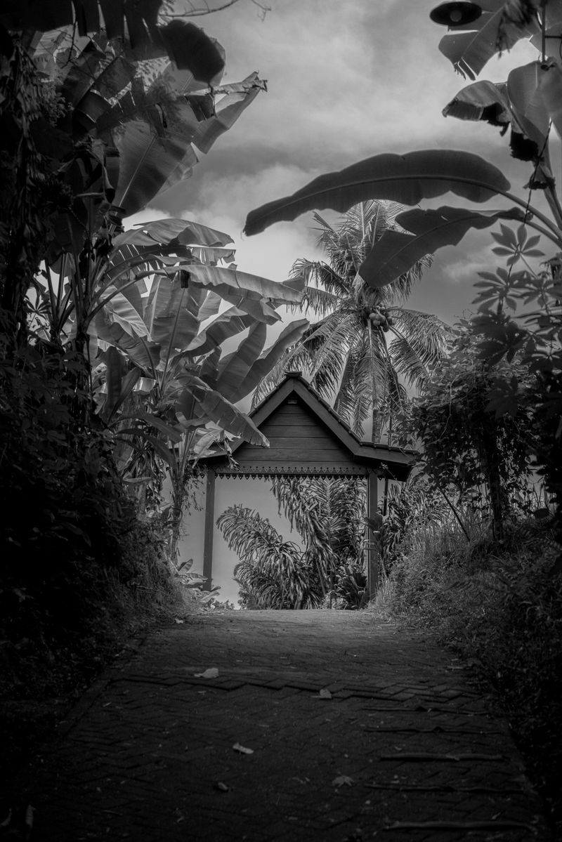© David Haefflinger - Image from the Wangsit: The Revelations of Java photography project