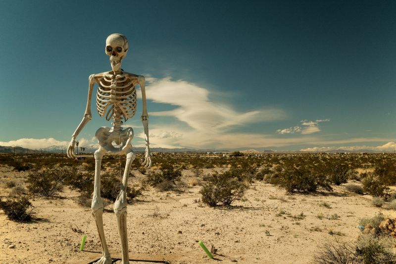 © Gem Redford - Twentynine Palms, CaliforniaSkeleton installation in desert landscape.