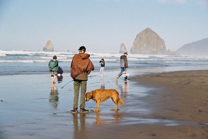 © Lindsey Saunooke - Patience