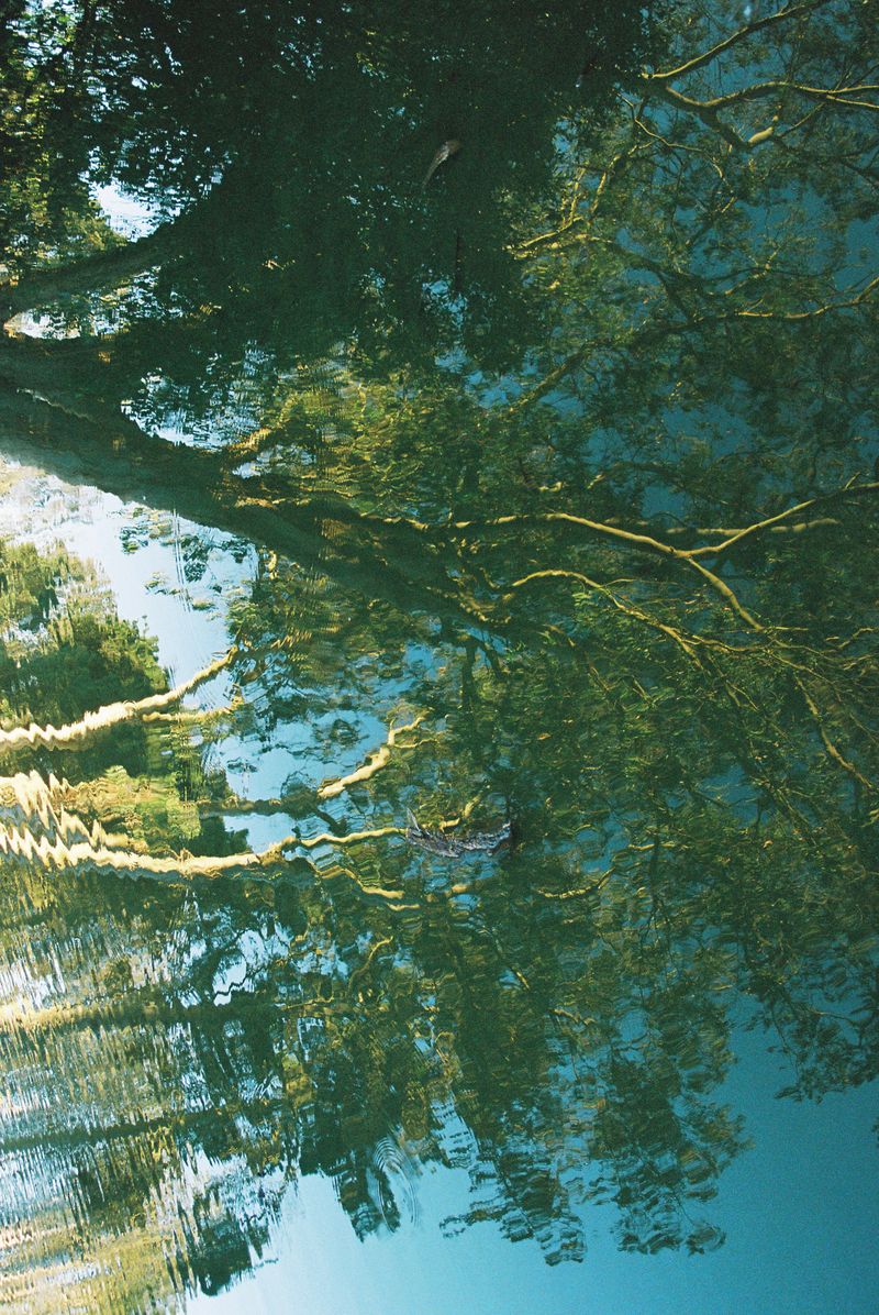 © Lindsey Saunooke - Reflections