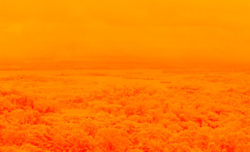 © Yan Miranda Mayer - Image from the Reverie Rebirth photography project