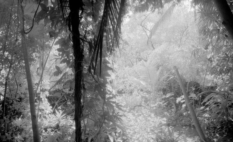 © Yan Miranda Mayer - Image from the Reverie Rebirth photography project