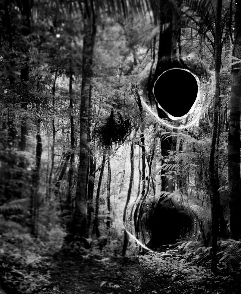 © Yan Miranda Mayer - Image from the Reverie Rebirth photography project