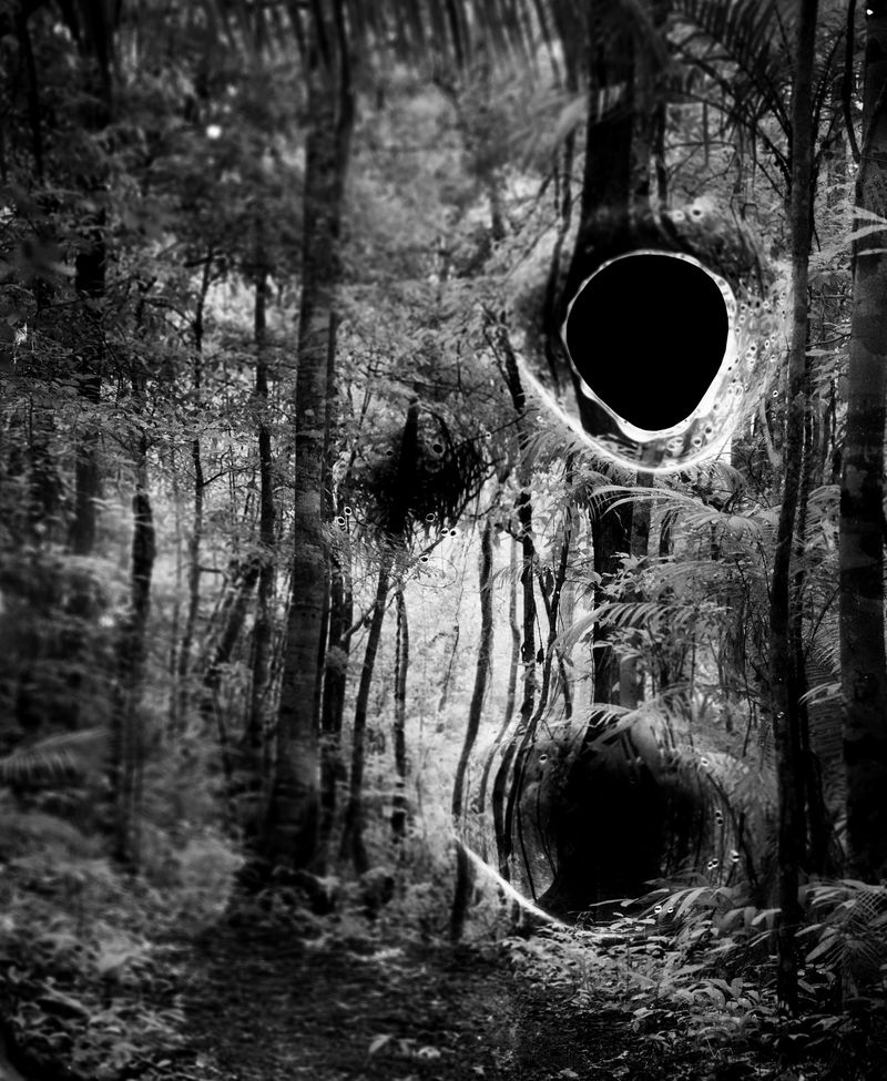 © Yan Miranda Mayer - Image from the Reverie Rebirth photography project