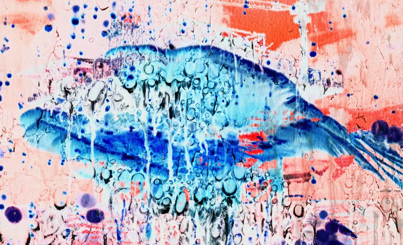 © Yan Miranda Mayer - Image from the Reverie Rebirth photography project