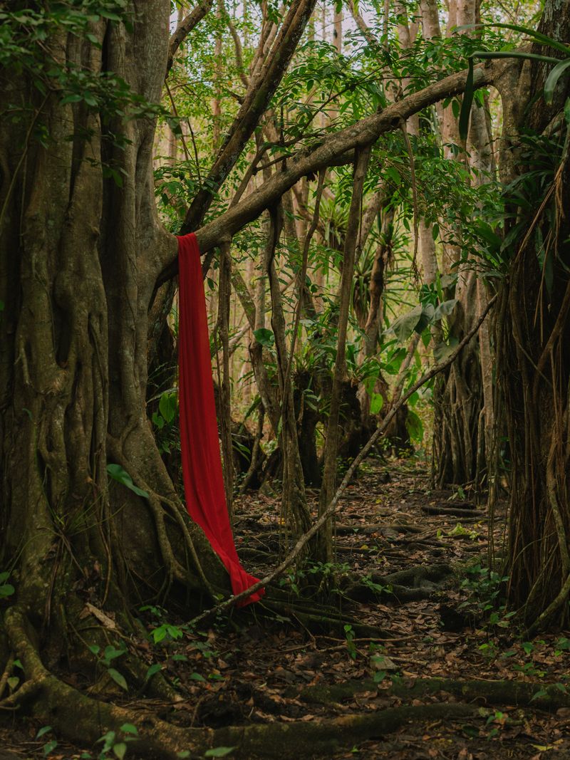 © RaÏssa Bibrac - From where you stand —The symbolic presence of my ancestors watching over me and guiding me throughout my life’s path.