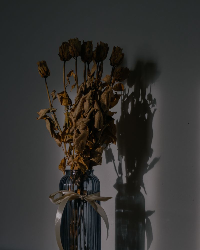 © Moa Linnea Matilda Nyberg - Image from the Seemingly Sound photography project