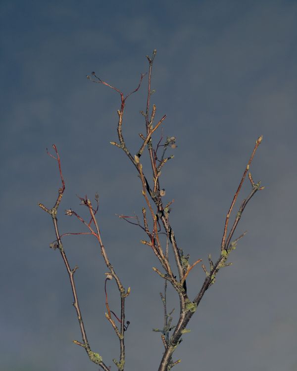 © Moa Linnea Matilda Nyberg - Image from the Seemingly Sound photography project