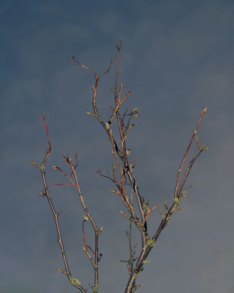 © Moa Linnea Matilda Nyberg - Image from the Seemingly Sound photography project