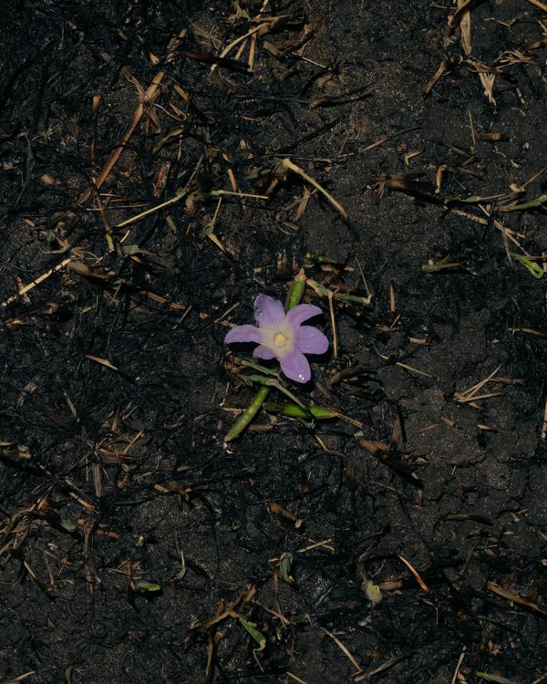 © Moa Linnea Matilda Nyberg - Image from the Seemingly Sound photography project