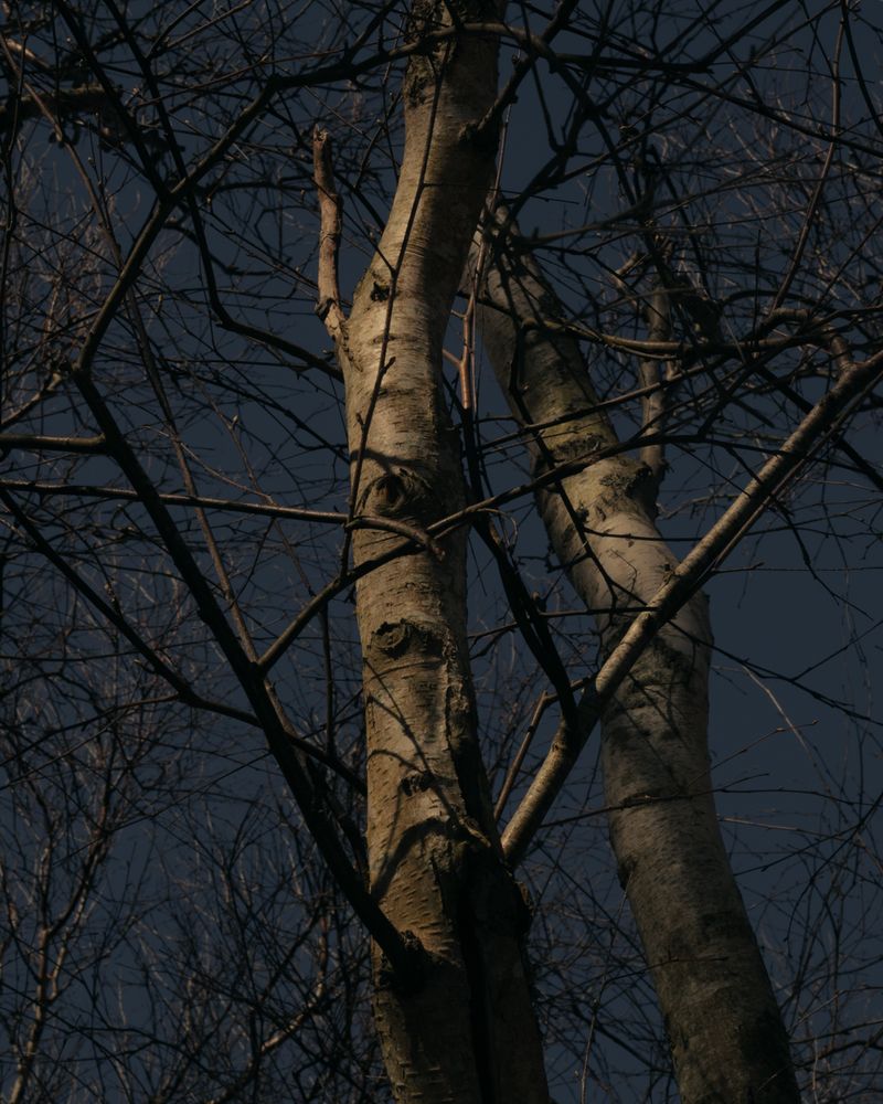 © Moa Linnea Matilda Nyberg - Image from the Seemingly Sound photography project