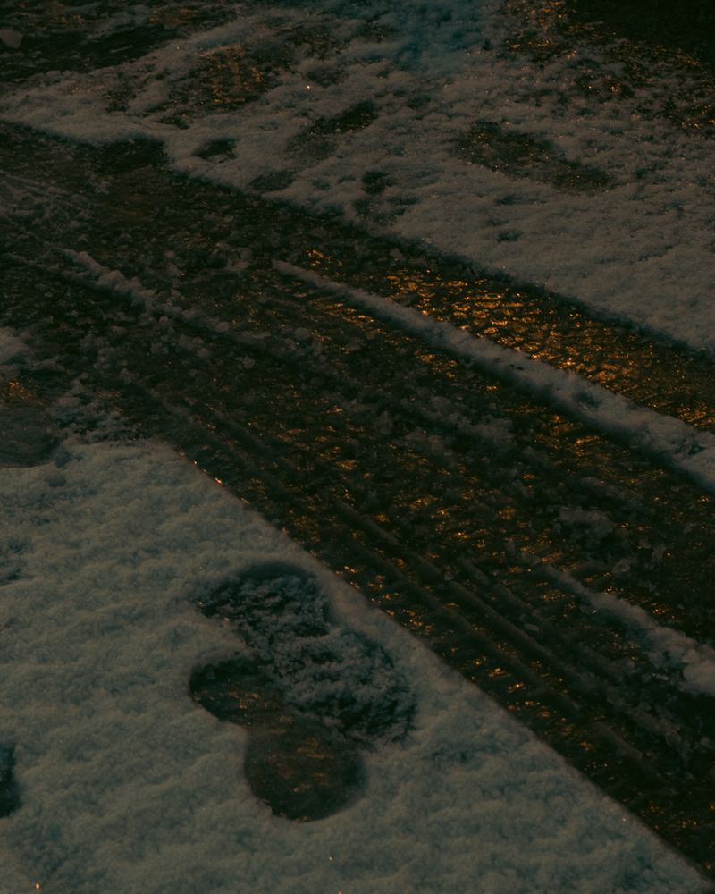 © Moa Linnea Matilda Nyberg - Image from the Four Weeks A Year photography project