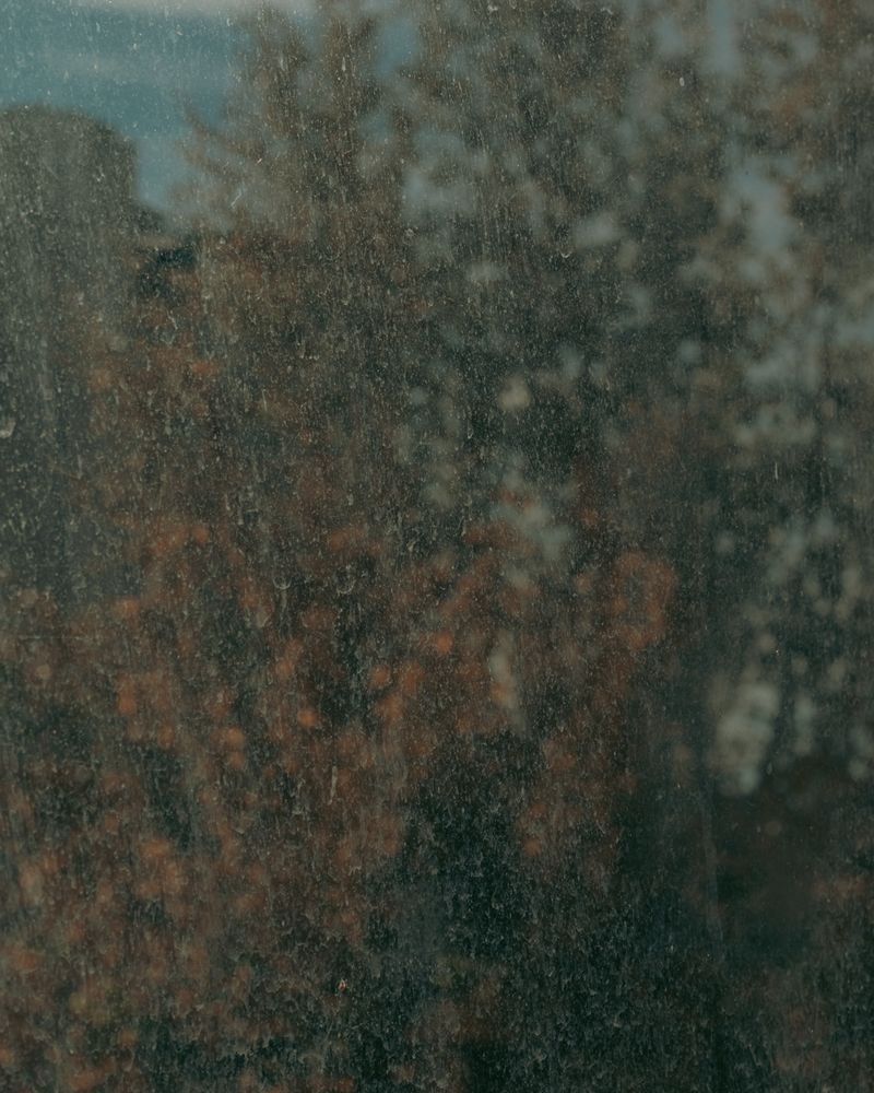 © Moa Linnea Matilda Nyberg - Image from the Four Weeks A Year photography project