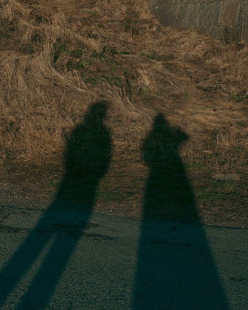 © Moa Linnea Matilda Nyberg - Image from the Four Weeks A Year photography project