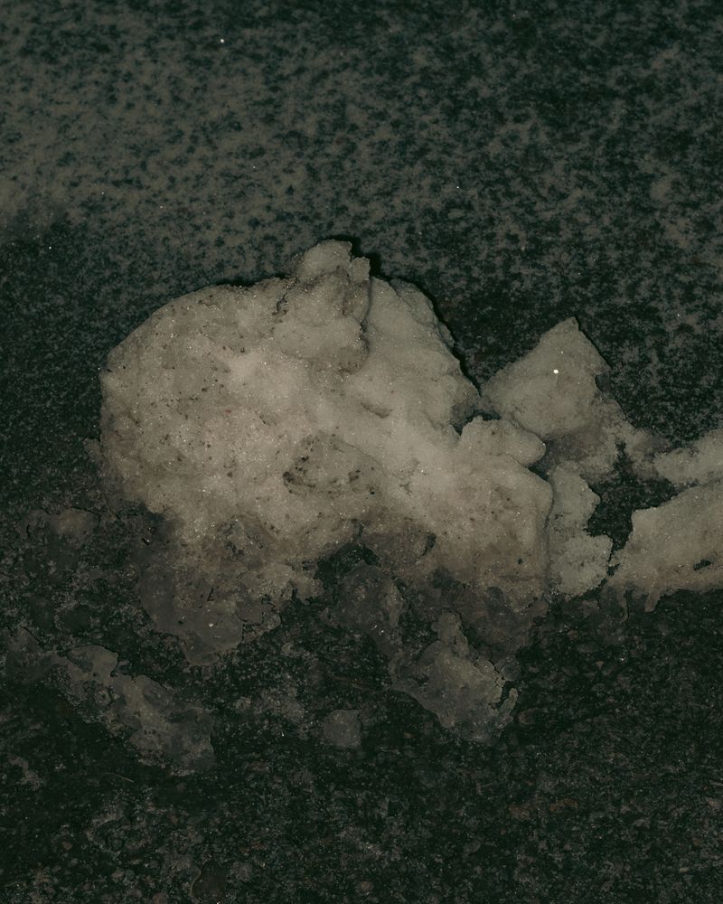 © Moa Linnea Matilda Nyberg - Image from the Four Weeks A Year photography project