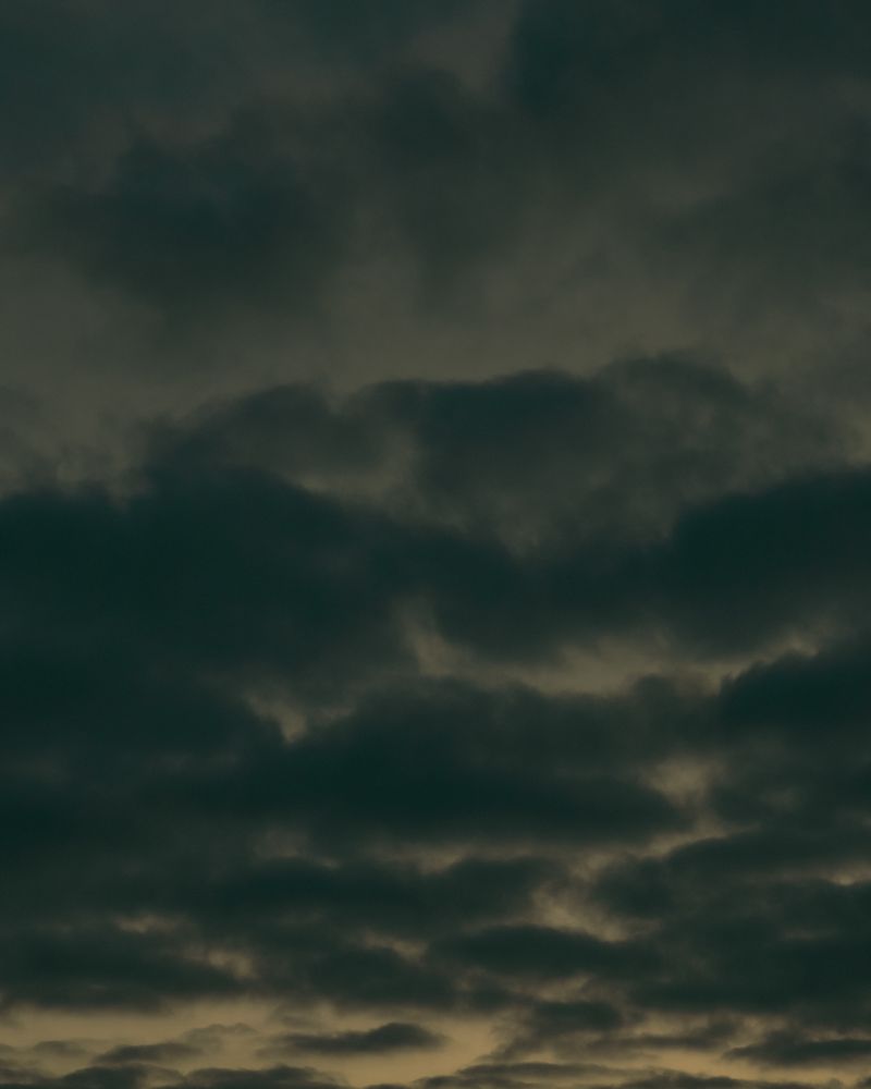 © Moa Linnea Matilda Nyberg - Clouds preventing the soon-to-start sunrise from giving light to this grey January morning.