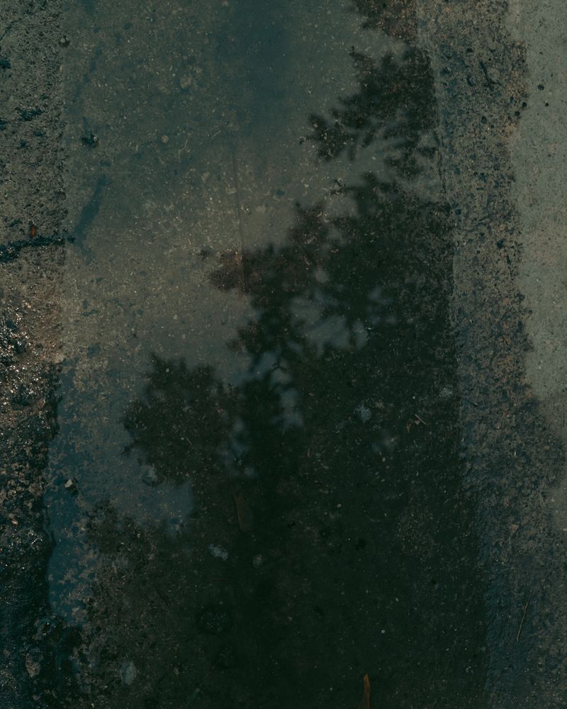 © Moa Linnea Matilda Nyberg - Image from the Four Weeks A Year photography project