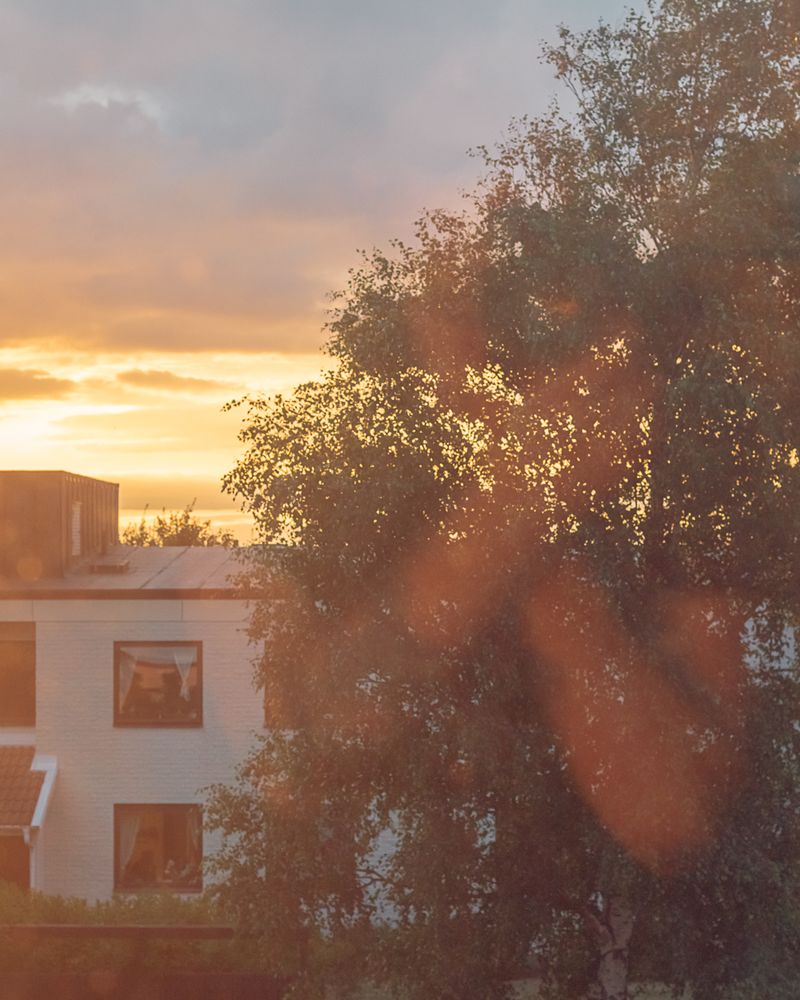 © Moa Linnea Matilda Nyberg - Image from the Four Weeks A Year photography project