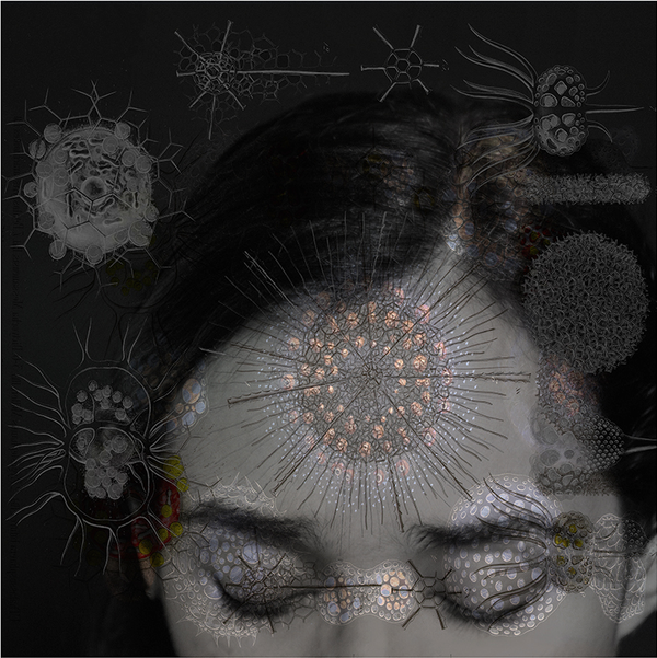 © Tatiana Parcero - © Tatiana Parcero, Universus #1, 2013