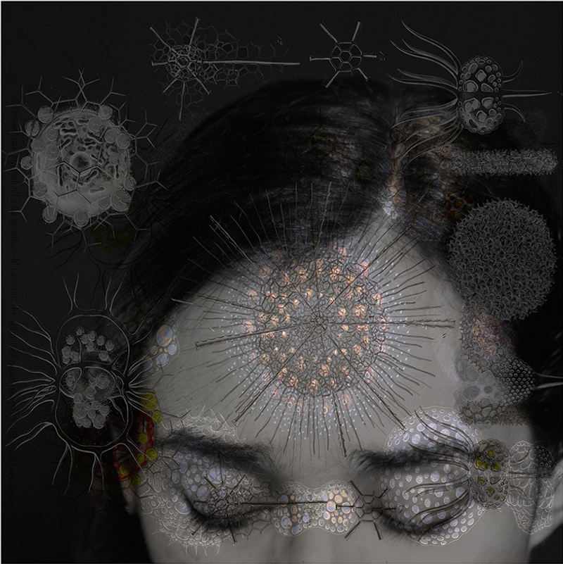 © Tatiana Parcero - © Tatiana Parcero, Universus #1, 2013