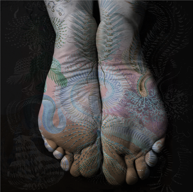 © Tatiana Parcero - © Tatiana Parcero, Universus #7, 2013