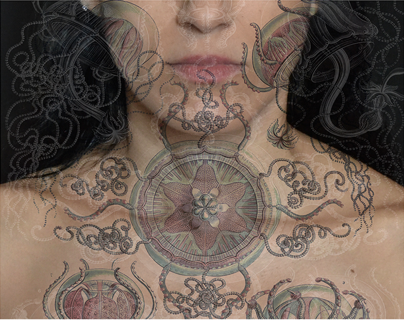 © Tatiana Parcero - © Tatiana Parcero, Universus #22, 2013-14