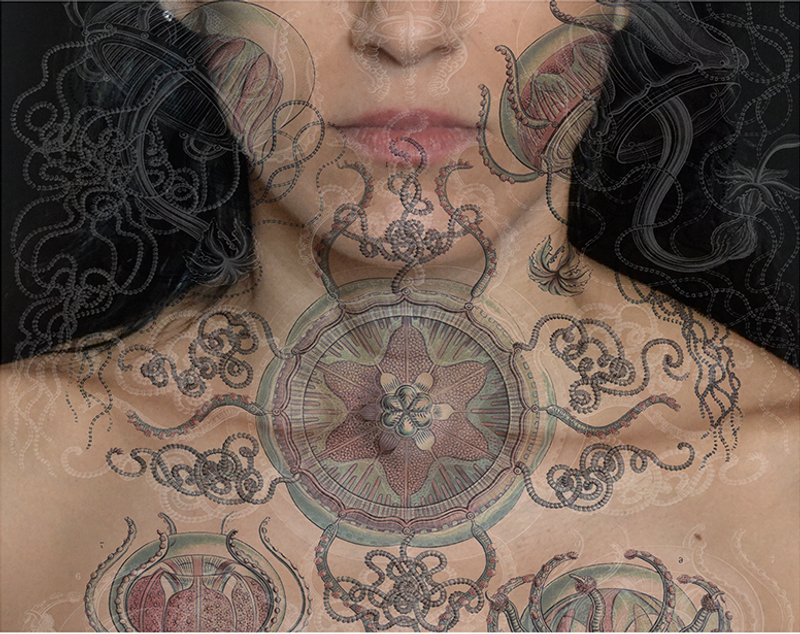 © Tatiana Parcero - © Tatiana Parcero, Universus #22, 2013-14