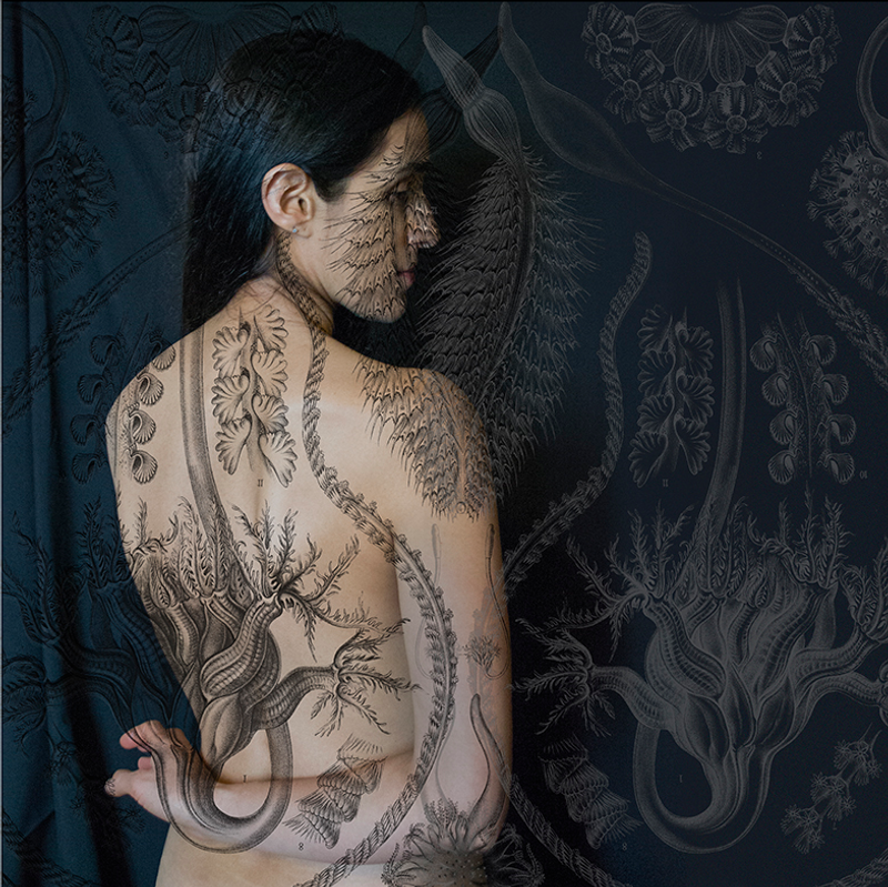 © Tatiana Parcero - © Tatiana Parcero, Universus #26, 2013-14