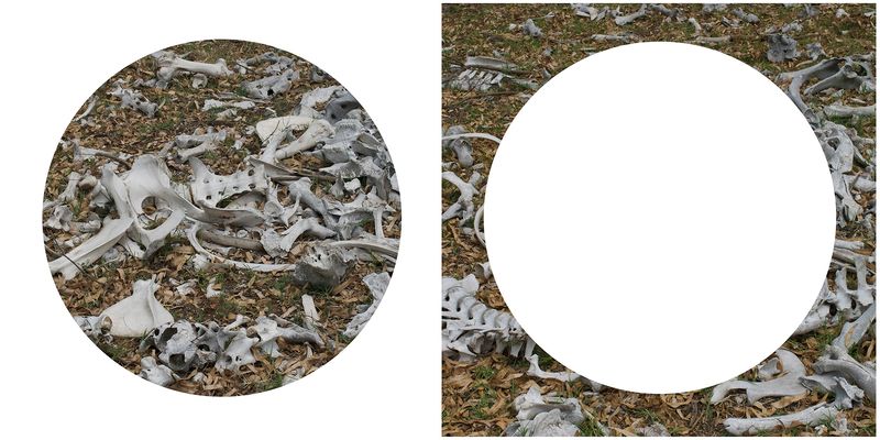 © Tatiana Parcero - © Tatiana Parcero, Universus #8 & #9, 2013-14