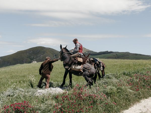 © roselena ramistella - Image from the Deep Land photography project