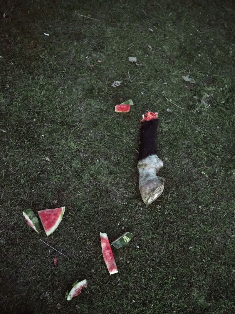 © Andrea Frazzetta - Image from the The Trillion-Dollar Nowhere photography project