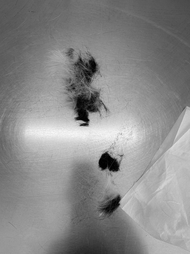 © Athanasia-Maria Dourou - Image from the What, I wonder, is the color of feeling? photography project