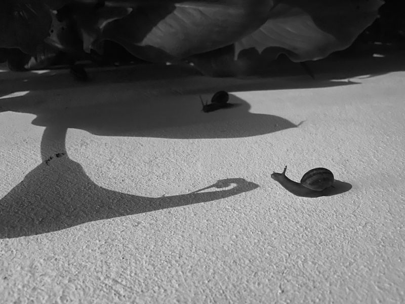 © Athanasia-Maria Dourou - Image from the What, I wonder, is the color of feeling? photography project