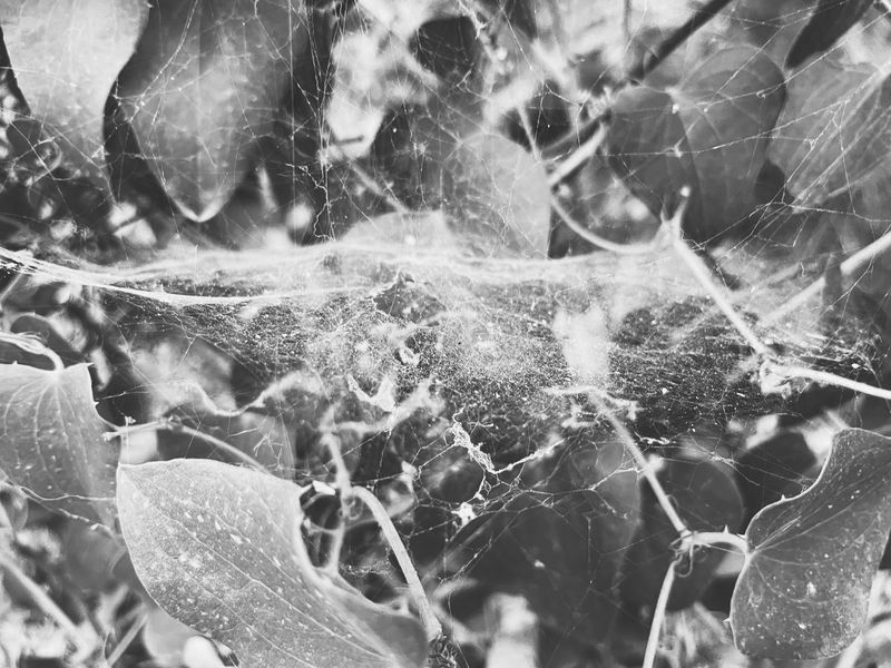 © Athanasia-Maria Dourou - Image from the What, I wonder, is the color of feeling? photography project