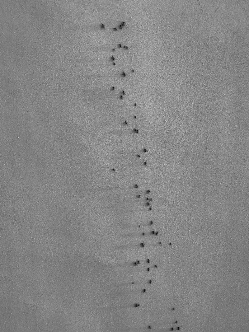 © Athanasia-Maria Dourou - Image from the What, I wonder, is the color of feeling? photography project