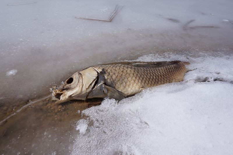 © Athanasia-Maria Dourou - Image from the What, I wonder, is the color of feeling? photography project