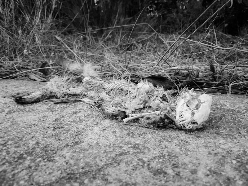 © Athanasia-Maria Dourou - Image from the What, I wonder, is the color of feeling? photography project