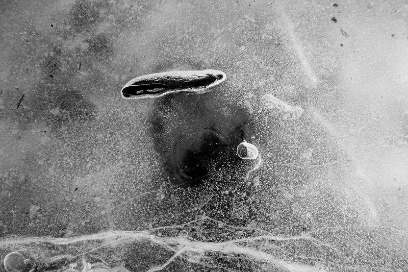 © Athanasia-Maria Dourou - Image from the What, I wonder, is the color of feeling? photography project