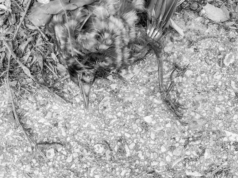 © Athanasia-Maria Dourou - Image from the What, I wonder, is the color of feeling? photography project