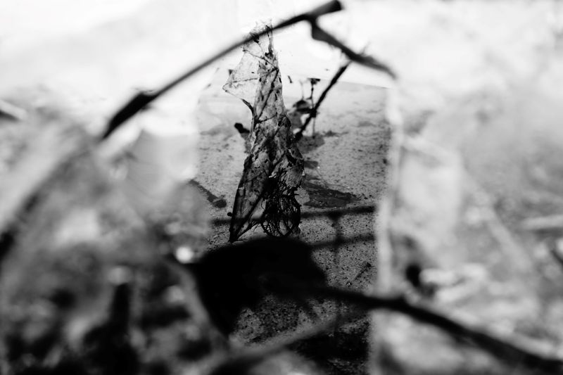 © Athanasia-Maria Dourou - Image from the Breaking Point photography project