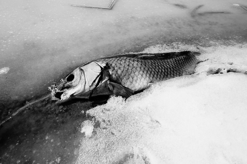 © Athanasia-Maria Dourou - Image from the Breaking Point photography project