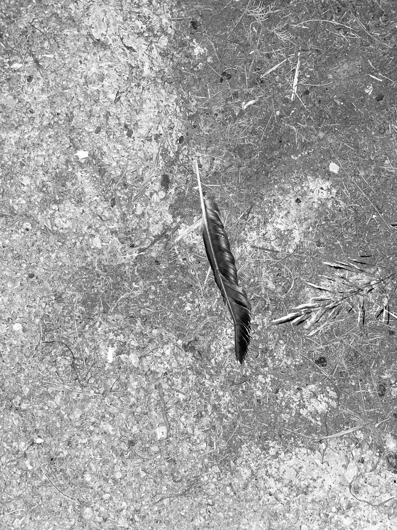 © Athanasia-Maria Dourou - Image from the Adrift photography project