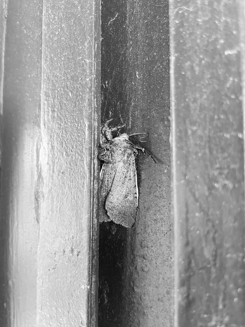 © Athanasia-Maria Dourou - Image from the Adrift photography project