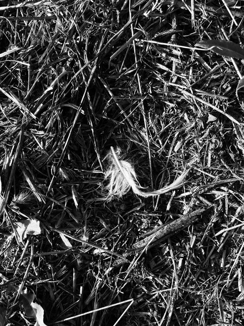 © Athanasia-Maria Dourou - Image from the Adrift photography project