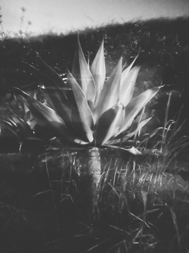 © Athanasia-Maria Dourou - Image from the Adrift photography project