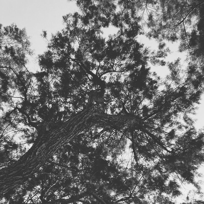 © Athanasia-Maria Dourou - Image from the Adrift photography project