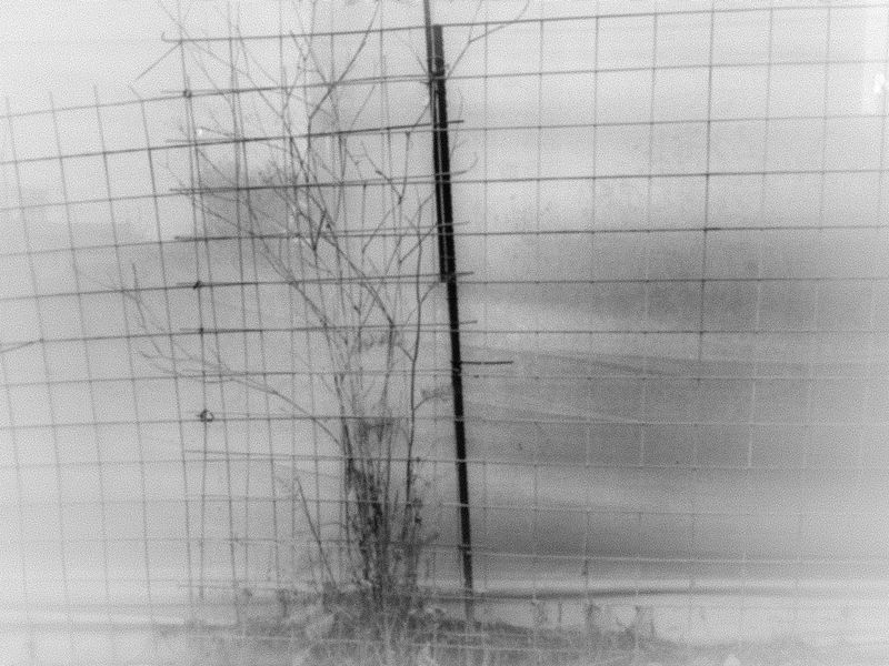 © Athanasia-Maria Dourou - Image from the Adrift photography project