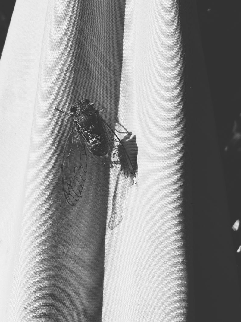 © Athanasia-Maria Dourou - Image from the Adrift photography project