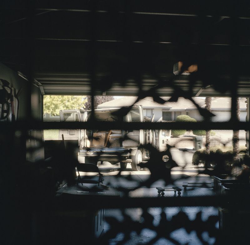 © Lynse Cooper - Untitled, 2024