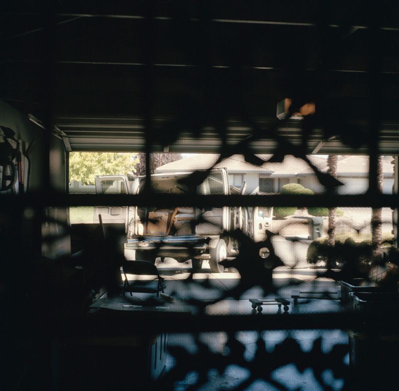 © Lynse Cooper - Untitled, 2024